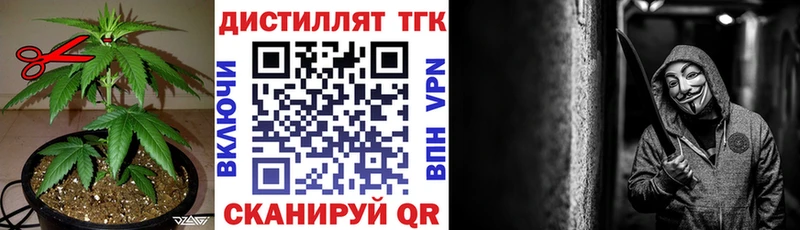 дарнет шоп  Багратионовск  ТГК концентрат 