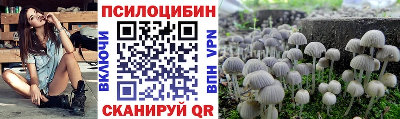 Галлюциногенные грибы GOLDEN TEACHER  закладка  MEGA как войти  Багратионовск 