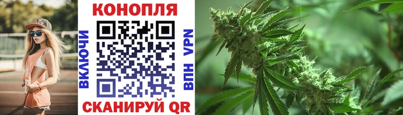 продажа наркотиков  Багратионовск  МАРИХУАНА конопля 